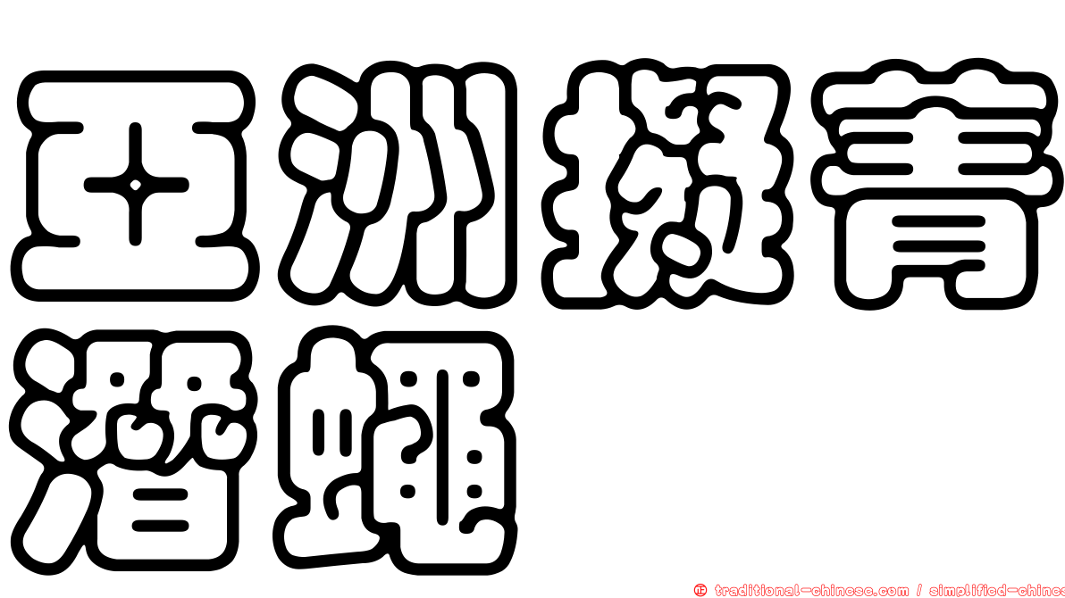 亞洲擬菁潛蠅