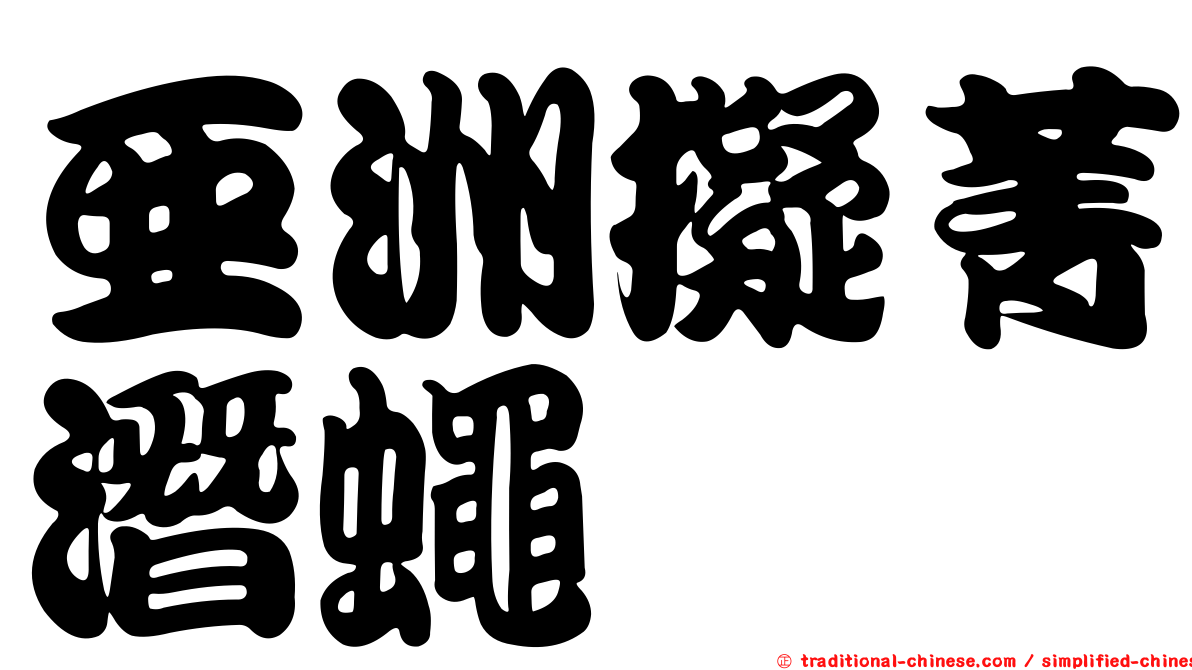 亞洲擬菁潛蠅