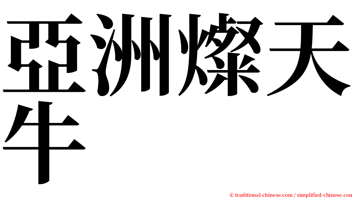 亞洲燦天牛 serif font