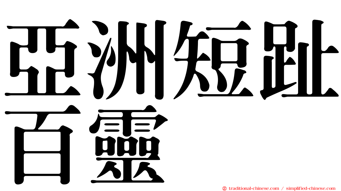 亞洲短趾百靈