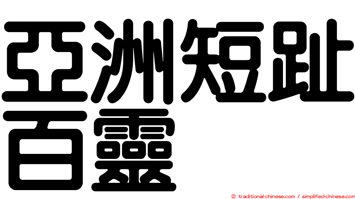 亞洲短趾百靈