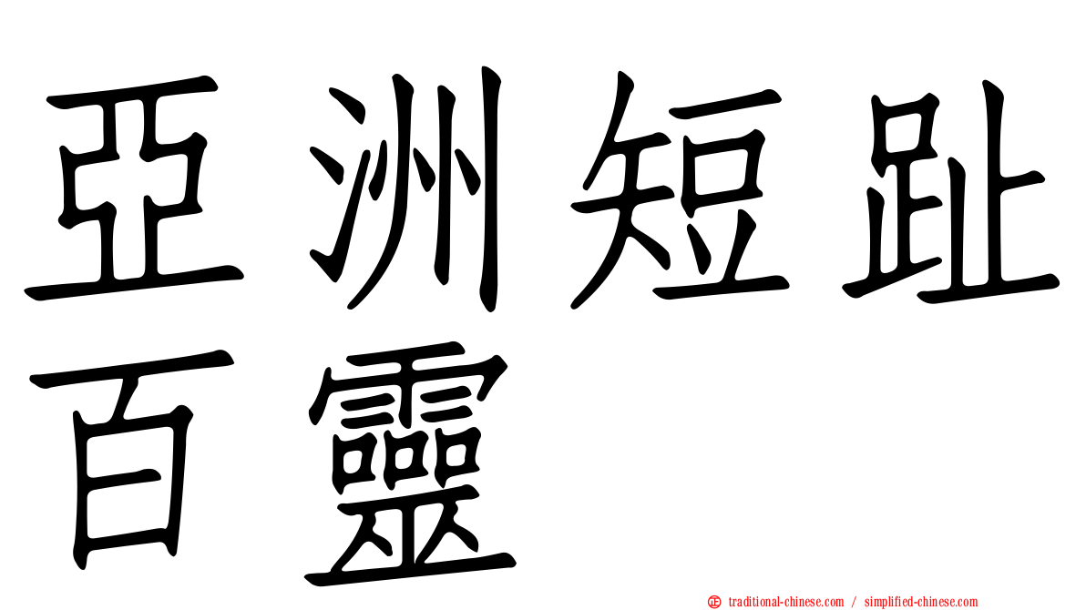 亞洲短趾百靈