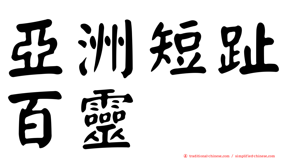 亞洲短趾百靈