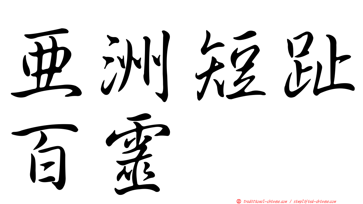 亞洲短趾百靈