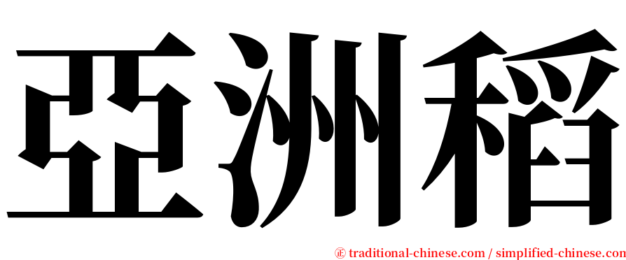 亞洲稻 serif font