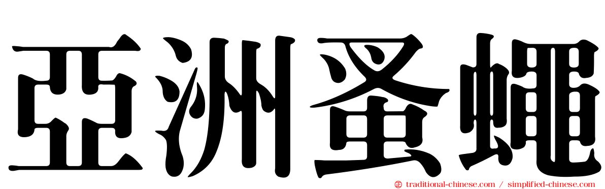 亞洲蚤蠅