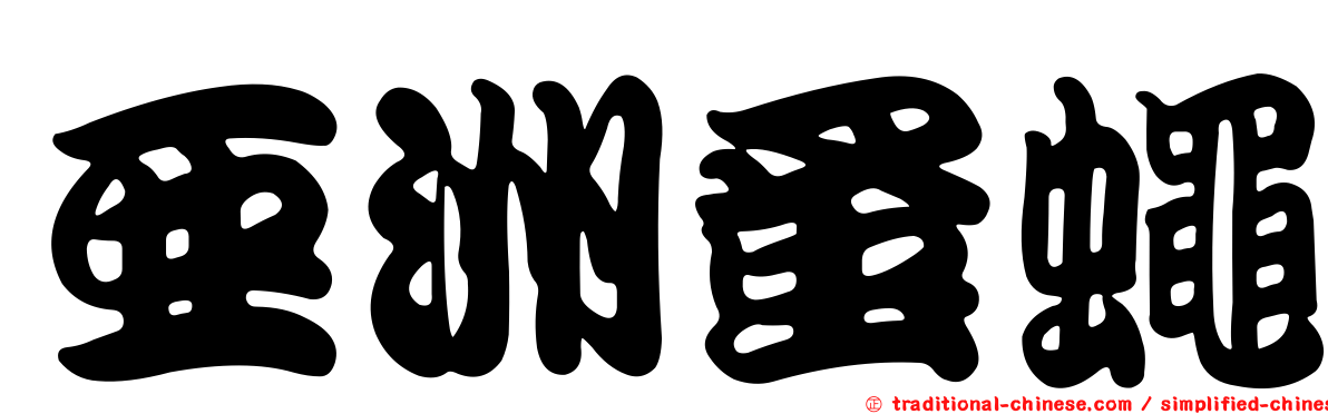 亞洲蚤蠅