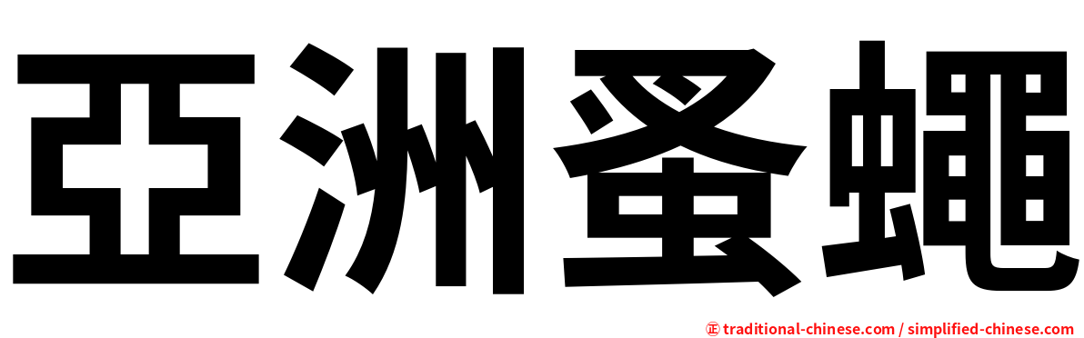 亞洲蚤蠅