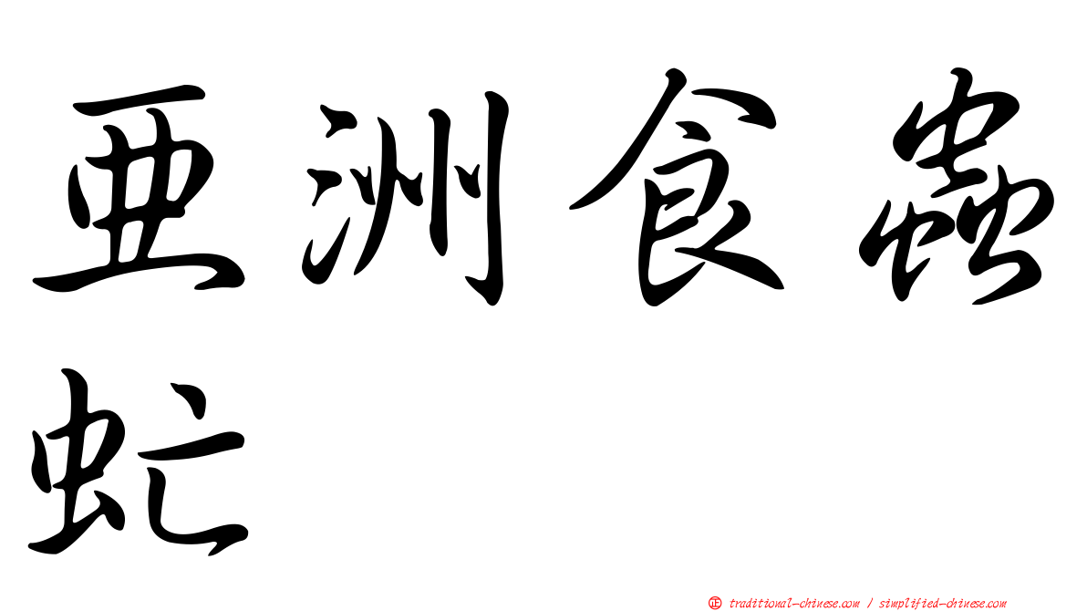 亞洲食蟲虻