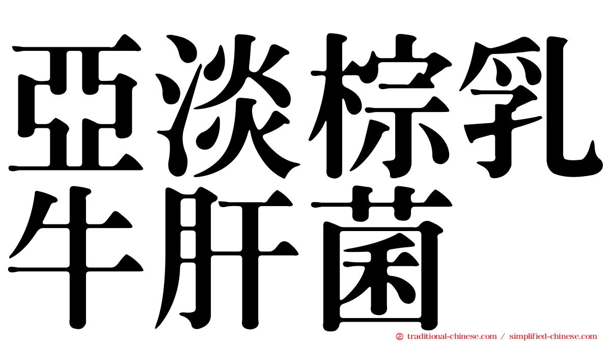 亞淡棕乳牛肝菌
