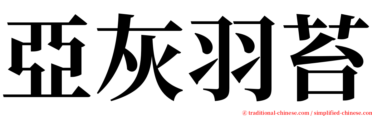 亞灰羽苔 serif font