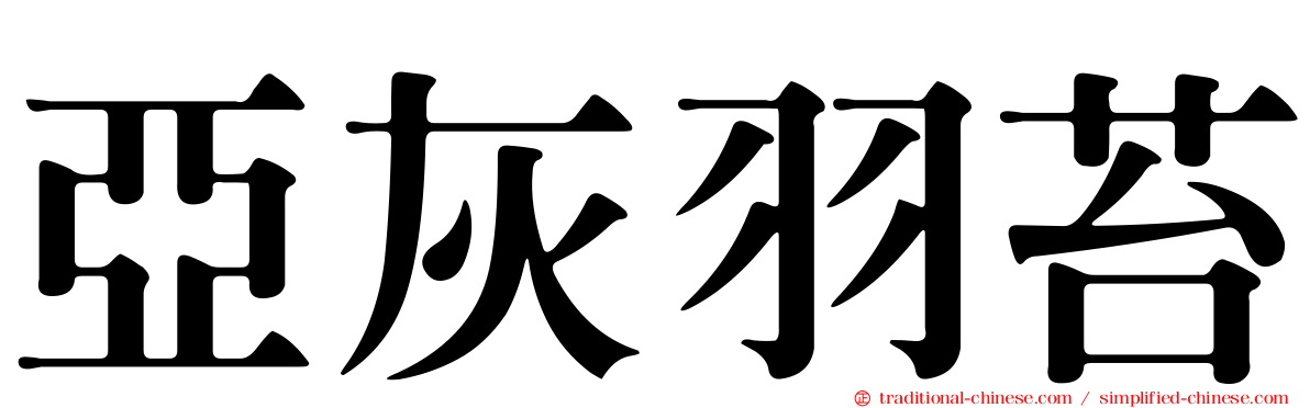 亞灰羽苔