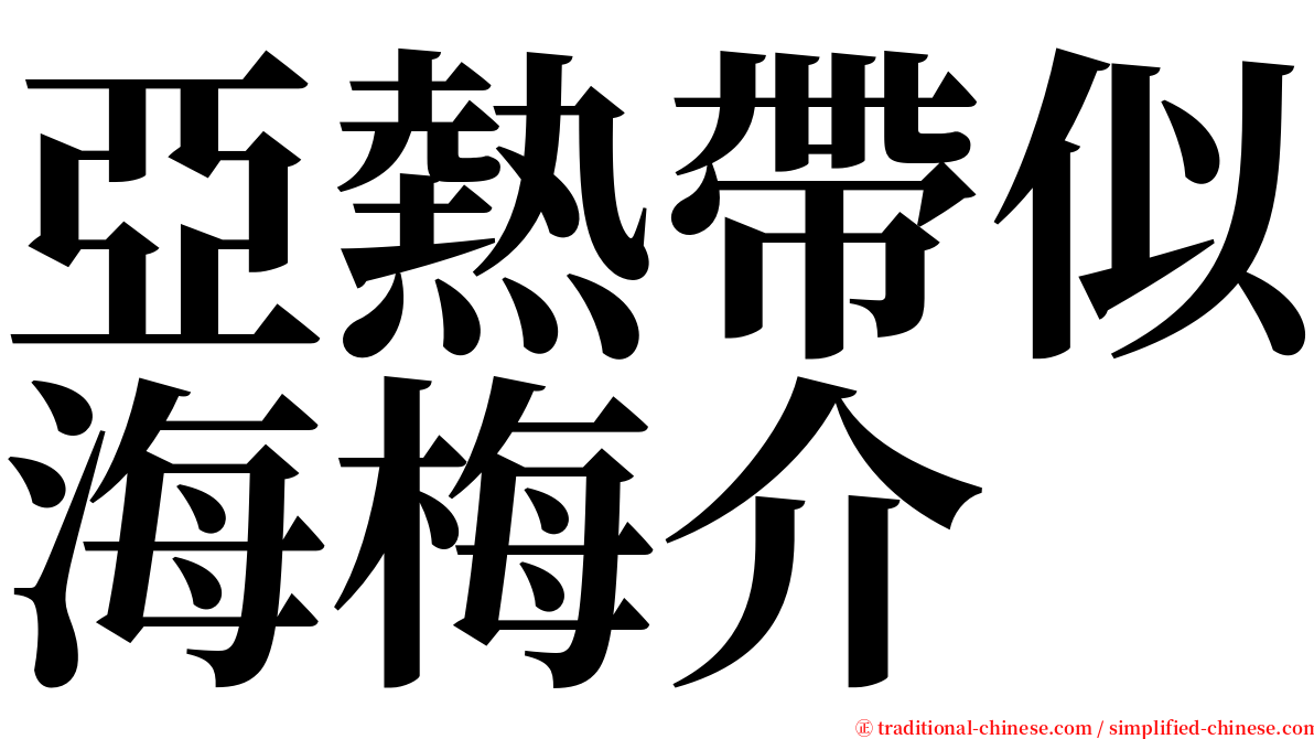 亞熱帶似海梅介 serif font