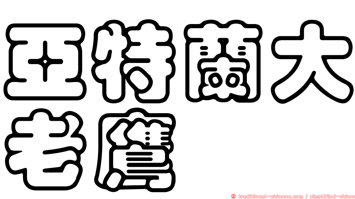 亞特蘭大老鷹