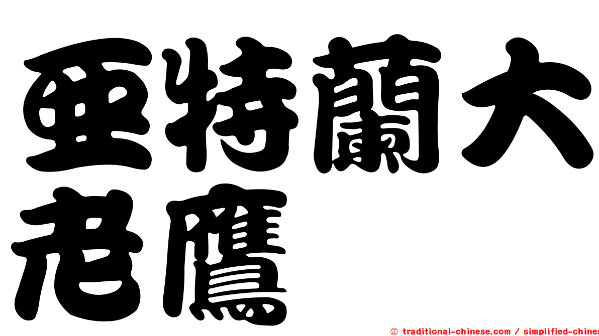 亞特蘭大老鷹