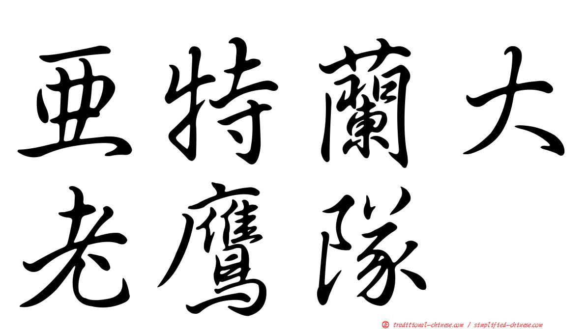 亞特蘭大老鷹隊