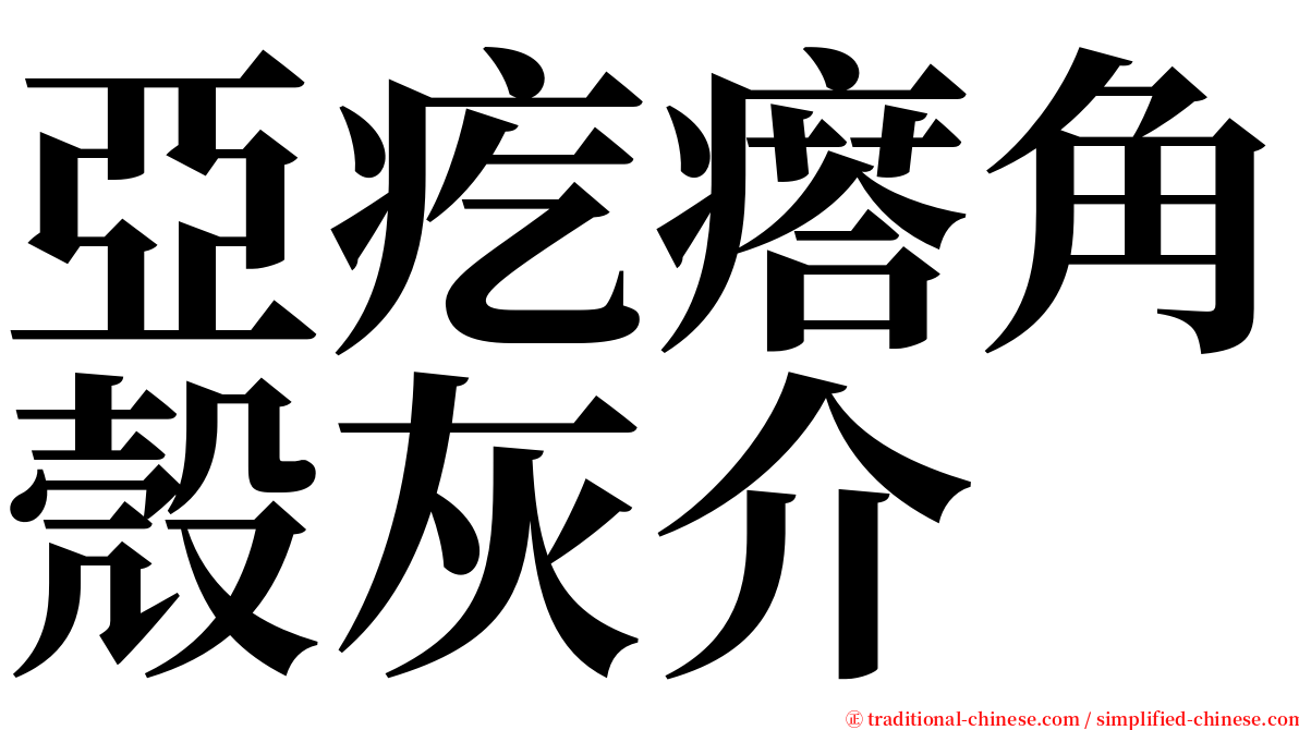 亞疙瘩角殼灰介 serif font