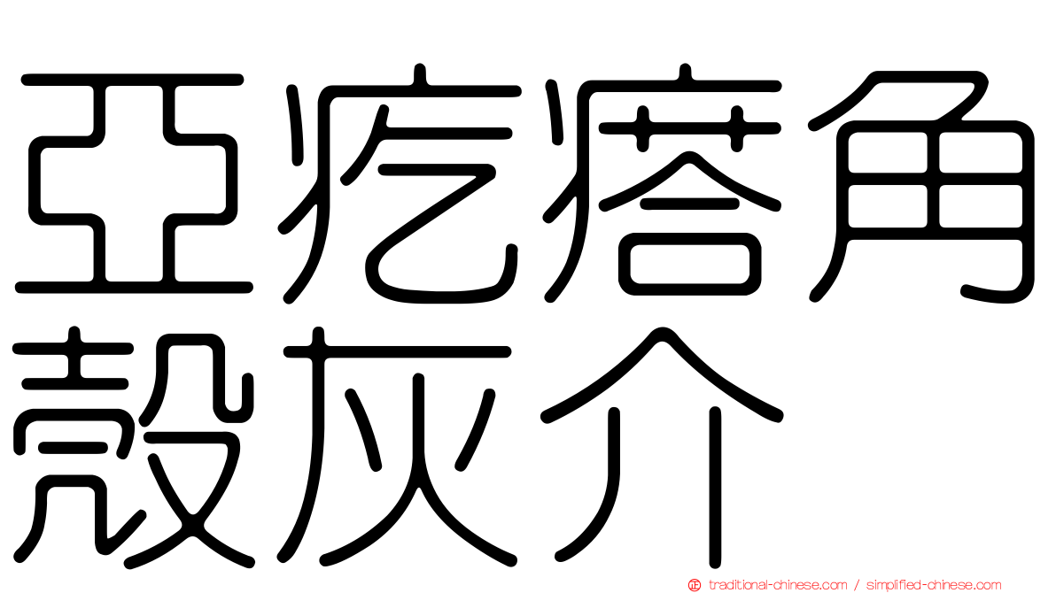 亞疙瘩角殼灰介