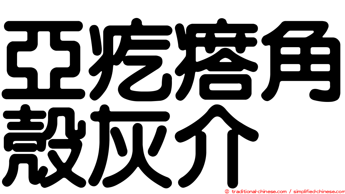 亞疙瘩角殼灰介
