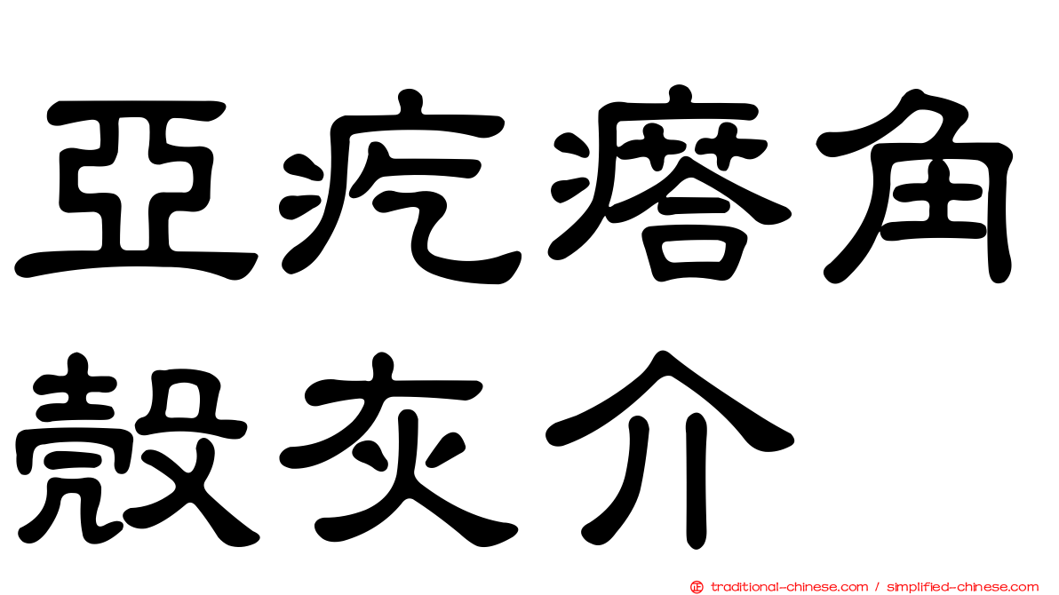亞疙瘩角殼灰介