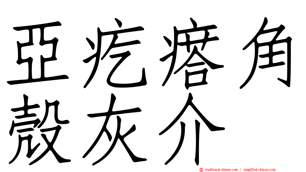 亞疙瘩角殼灰介