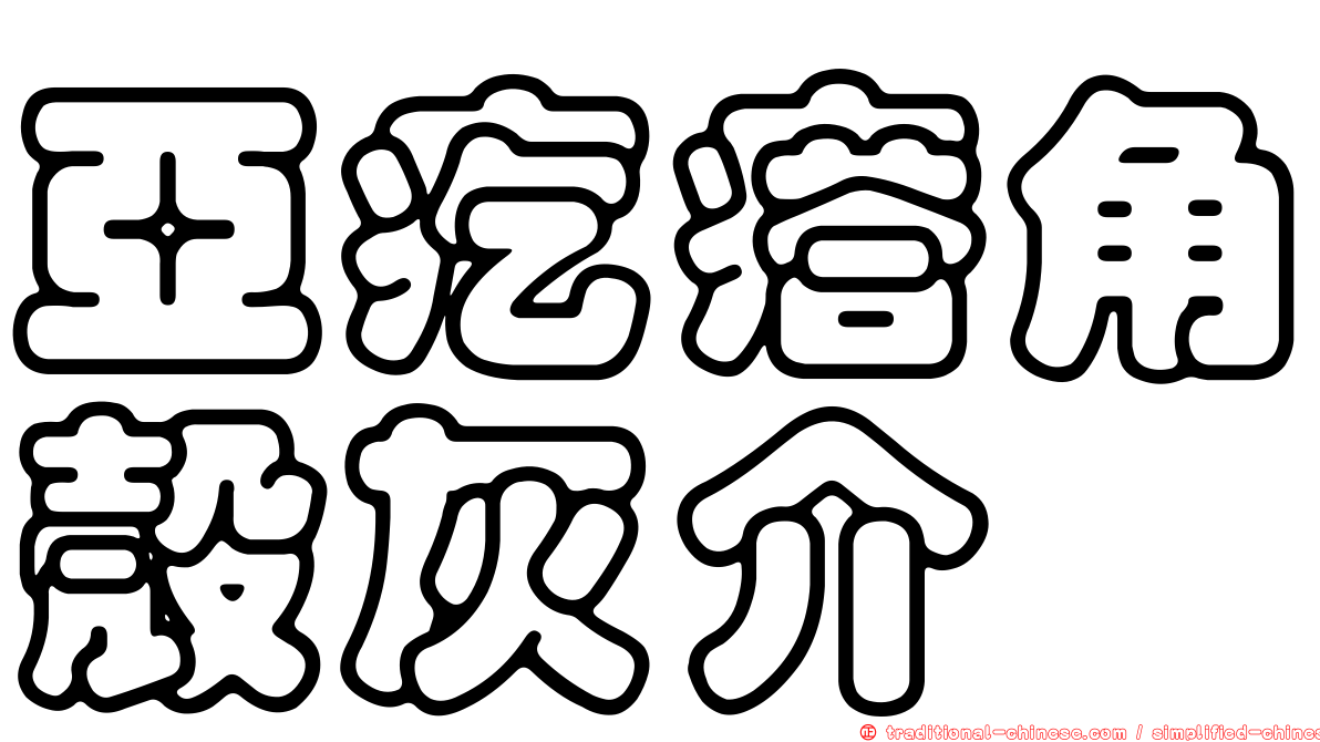 亞疙瘩角殼灰介