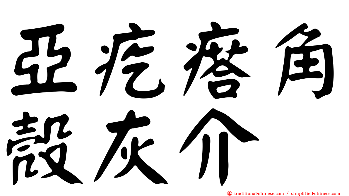 亞疙瘩角殼灰介