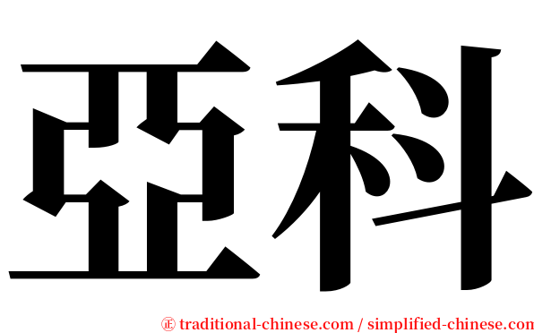 亞科 serif font