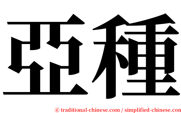 亞種 serif font