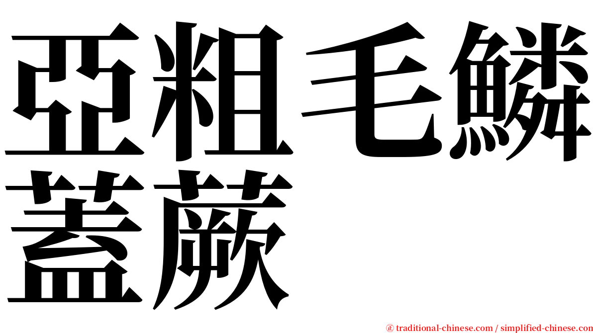 亞粗毛鱗蓋蕨 serif font