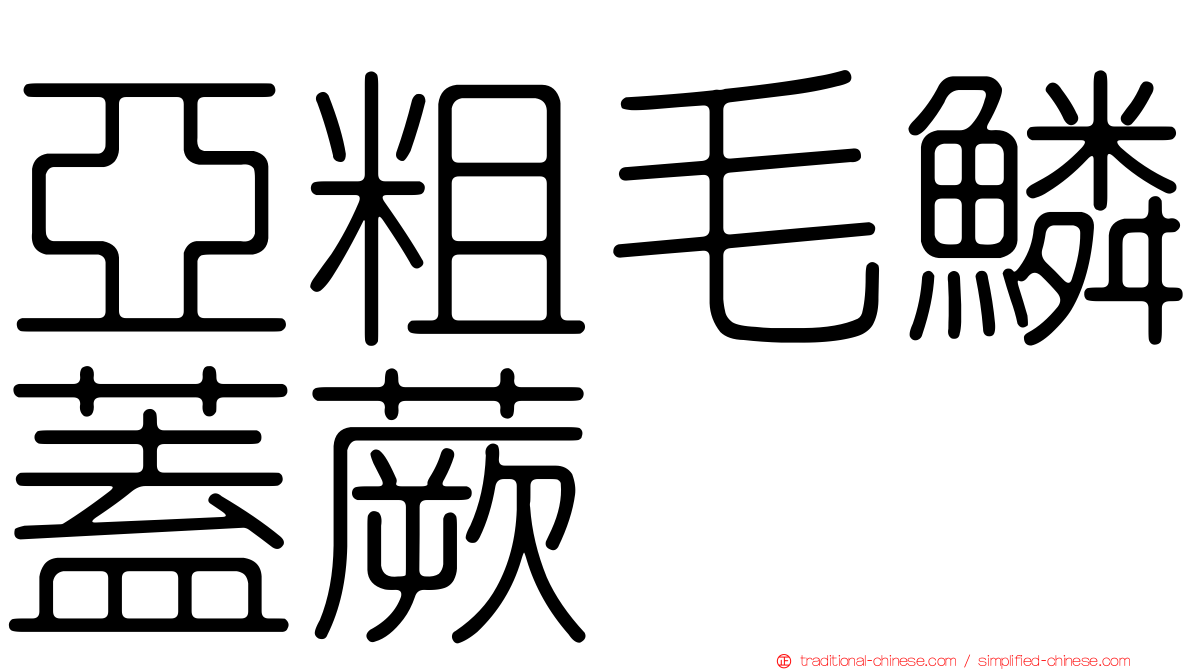 亞粗毛鱗蓋蕨