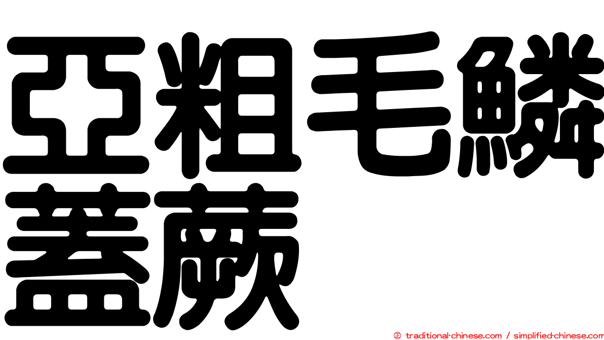 亞粗毛鱗蓋蕨