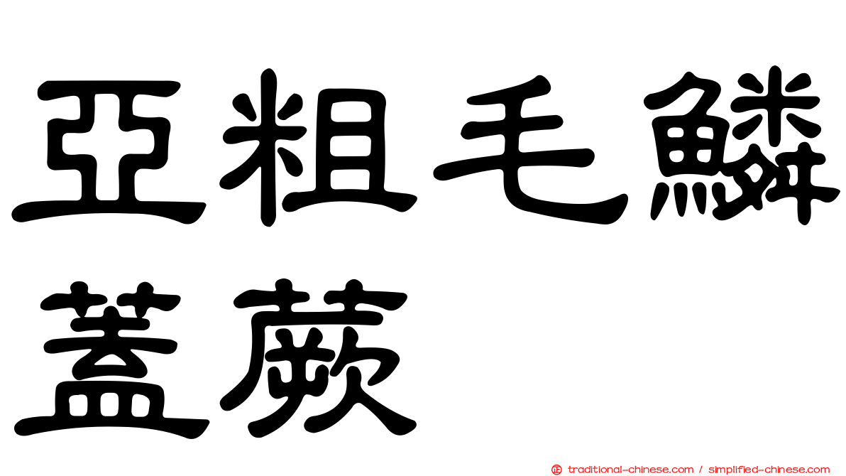 亞粗毛鱗蓋蕨
