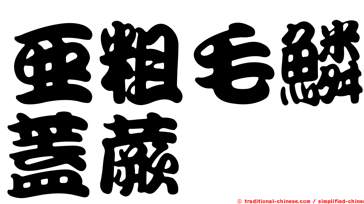 亞粗毛鱗蓋蕨