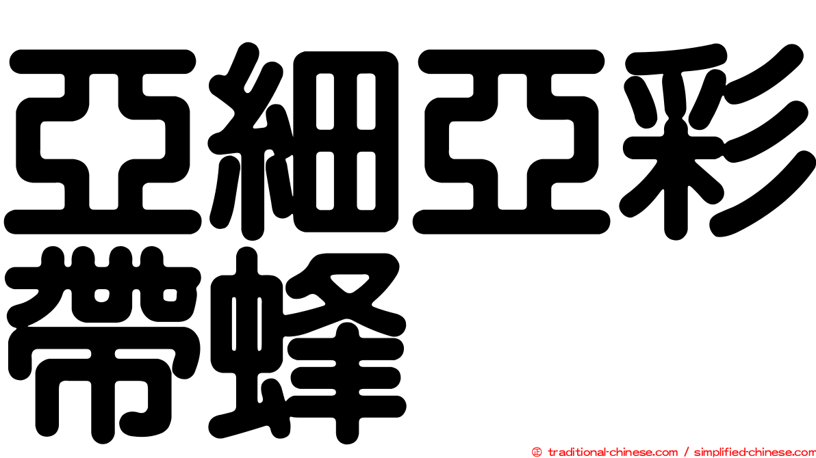 亞細亞彩帶蜂