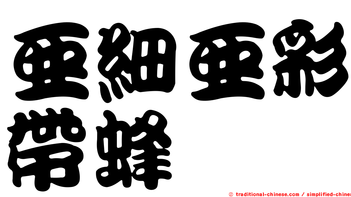 亞細亞彩帶蜂