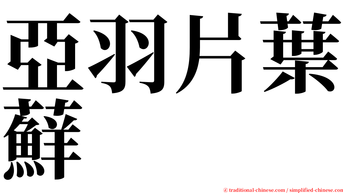 亞羽片葉蘚 serif font