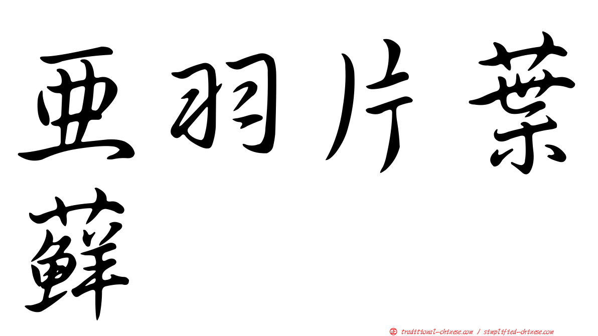 亞羽片葉蘚