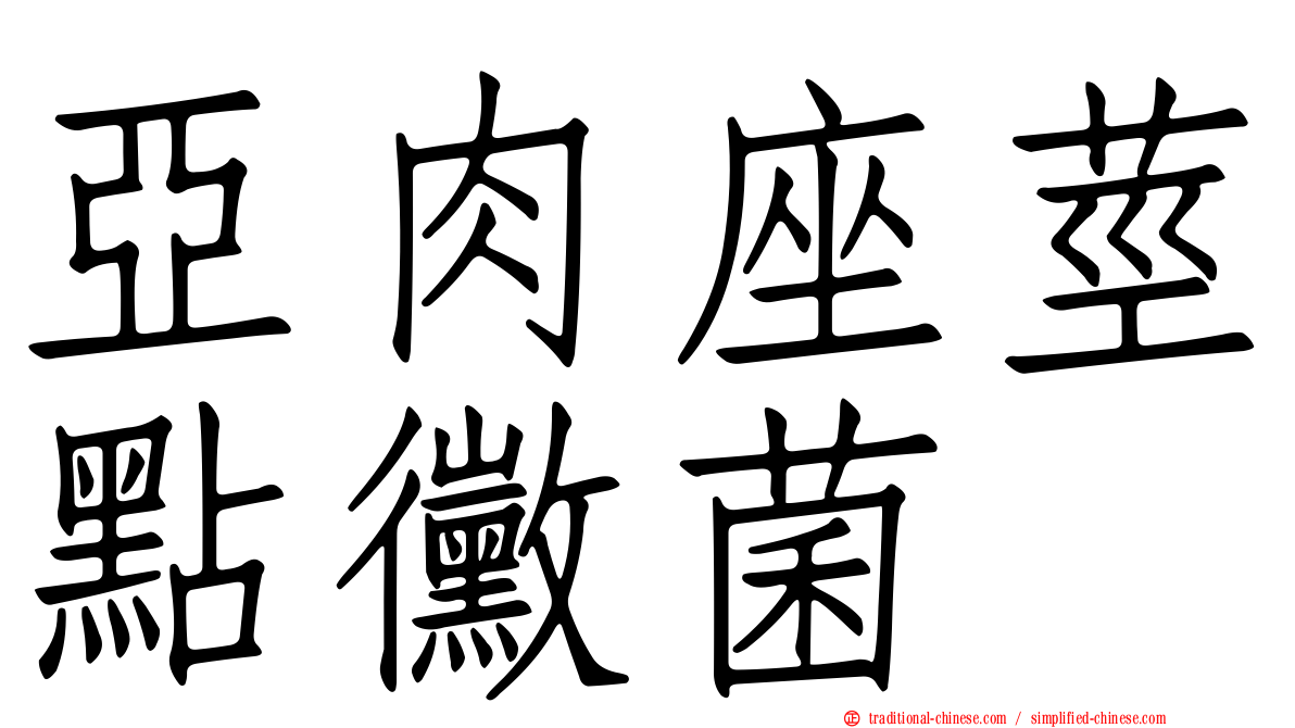 亞肉座莖點黴菌