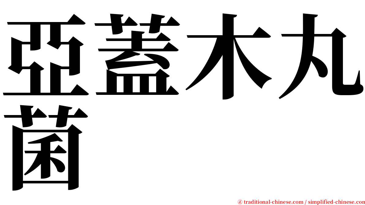 亞蓋木丸菌 serif font