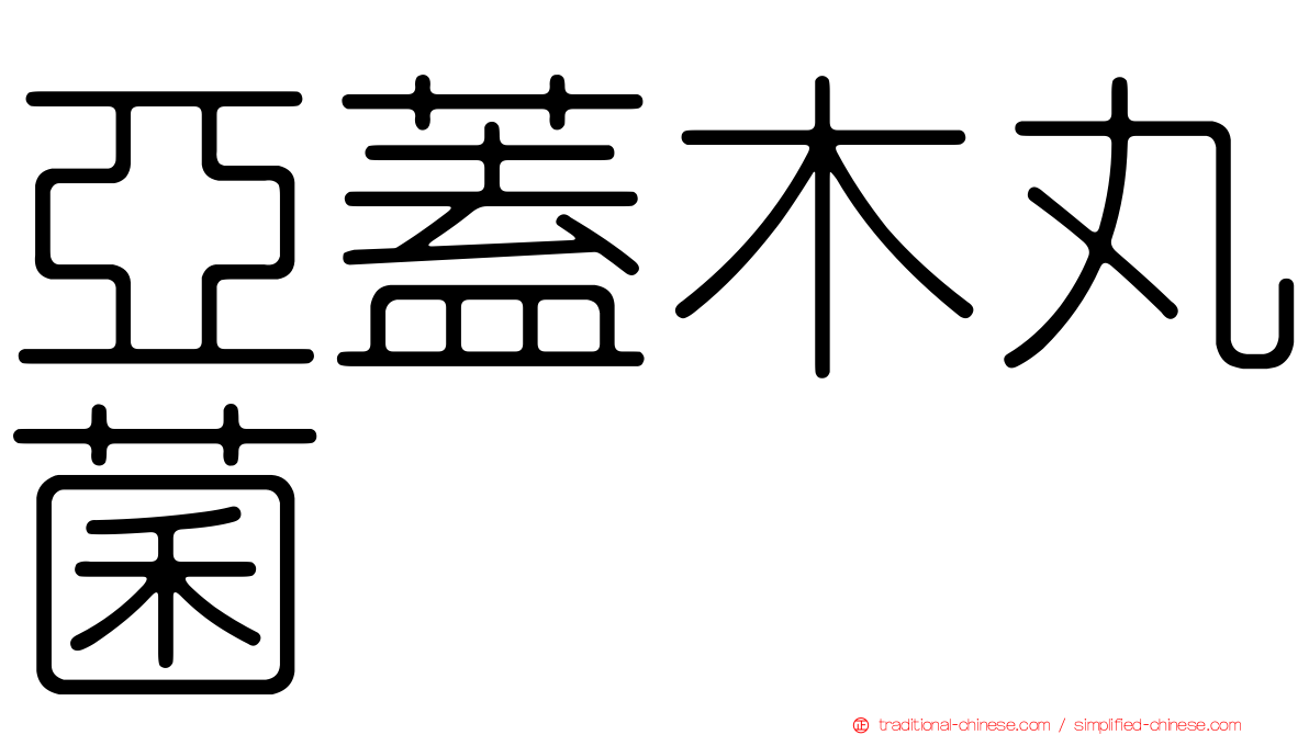 亞蓋木丸菌