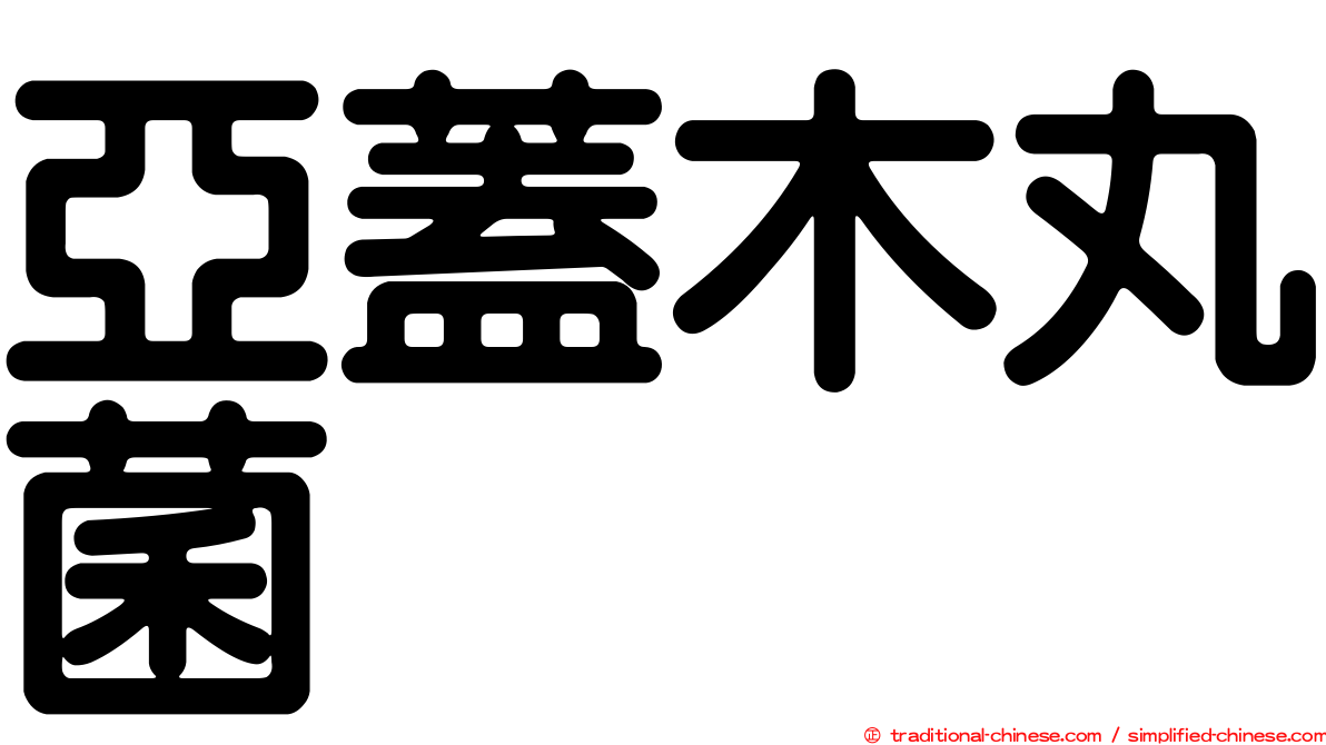 亞蓋木丸菌