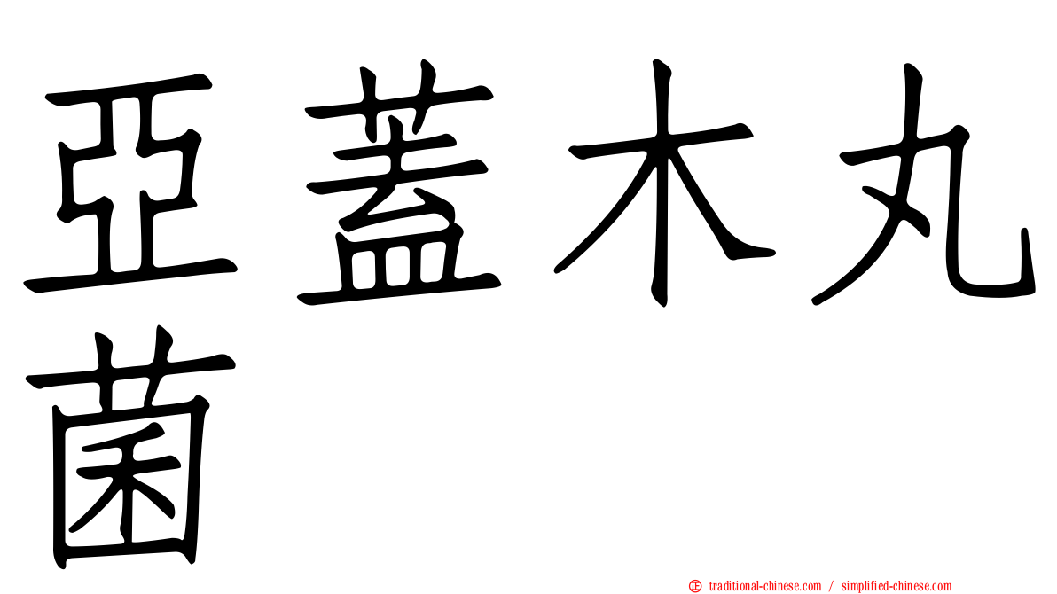 亞蓋木丸菌