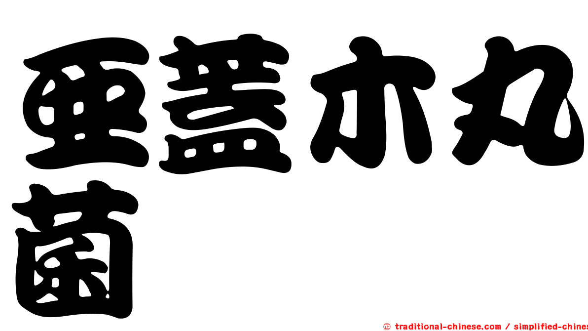 亞蓋木丸菌