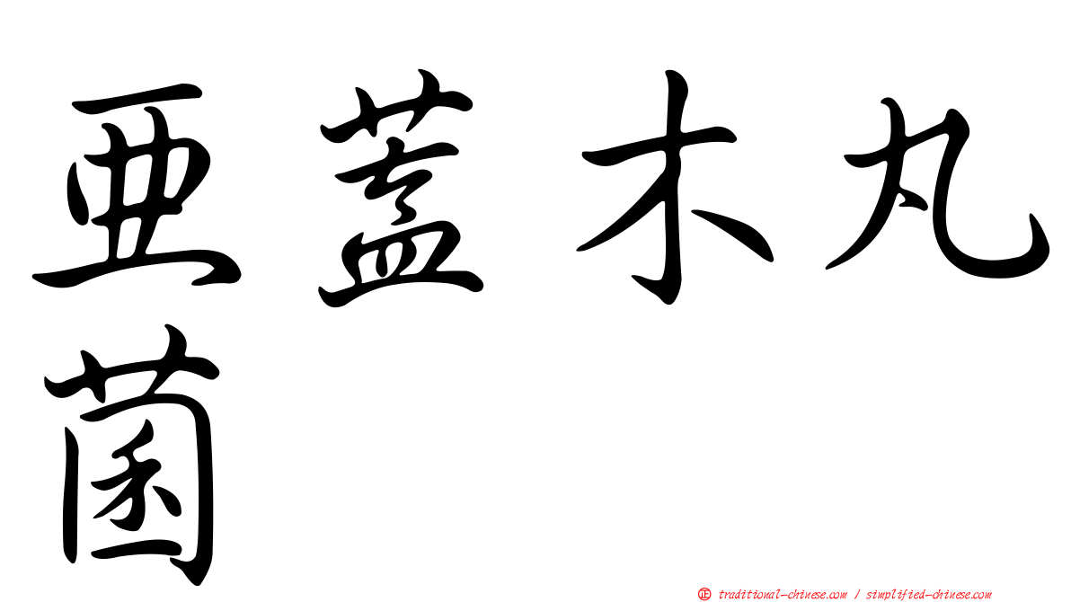 亞蓋木丸菌