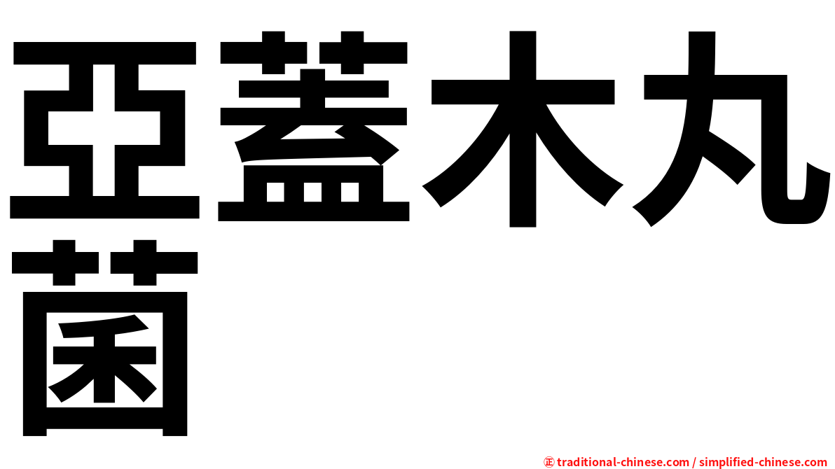亞蓋木丸菌