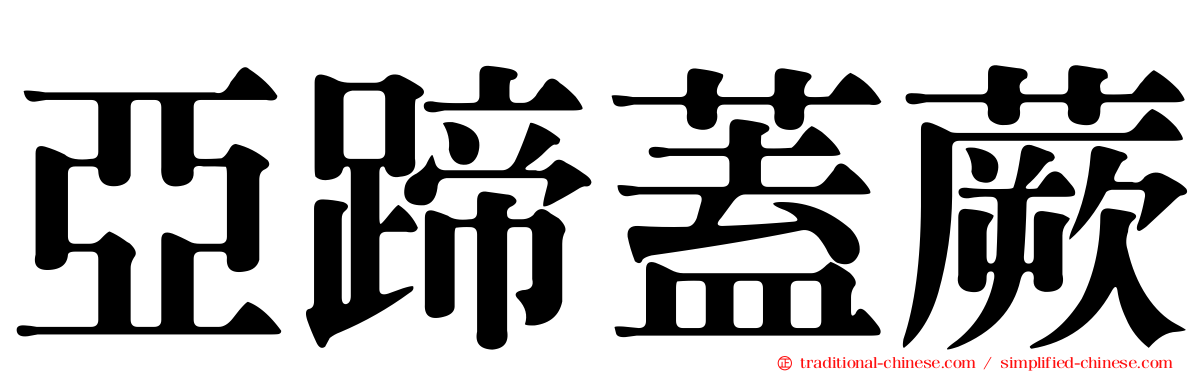 亞蹄蓋蕨