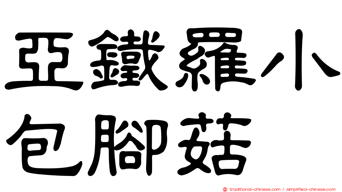 亞鐵羅小包腳菇