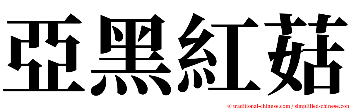 亞黑紅菇 serif font