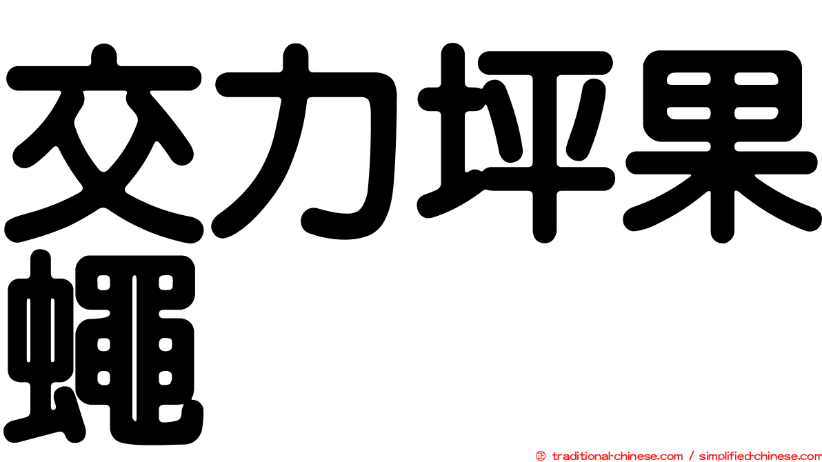 交力坪果蠅